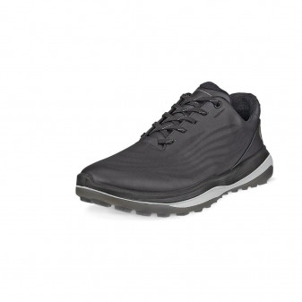 CHAUSSURES ECCO LT1